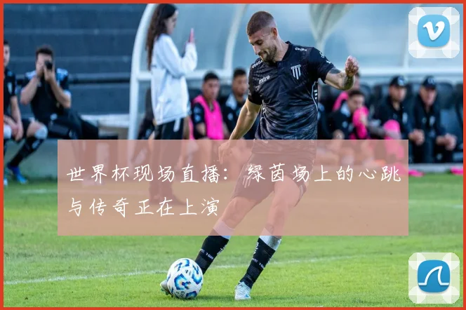 世界杯现场直播：绿茵场上的心跳与传奇正在上演