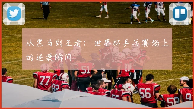 从黑马到王者：世界杯乒乓赛场上的逆袭瞬间