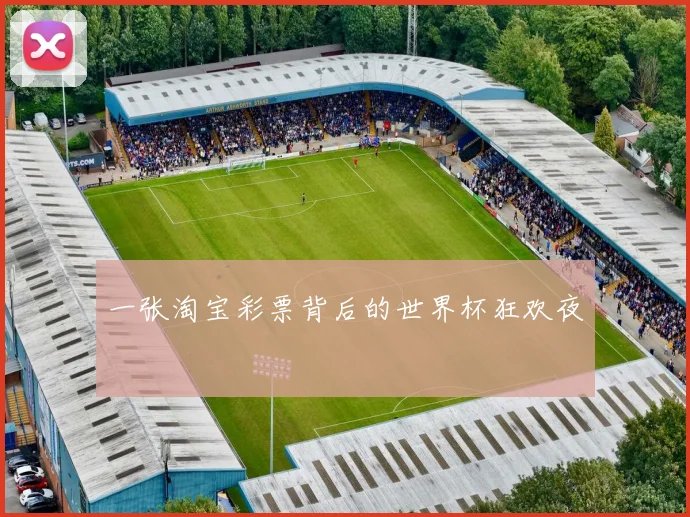 一张淘宝彩票背后的世界杯狂欢夜