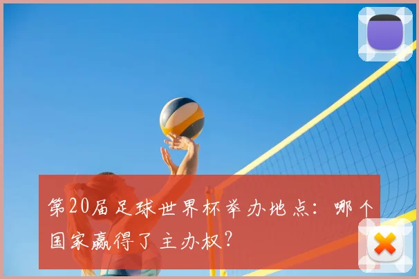 第20届足球世界杯举办地点：哪个国家赢得了主办权？