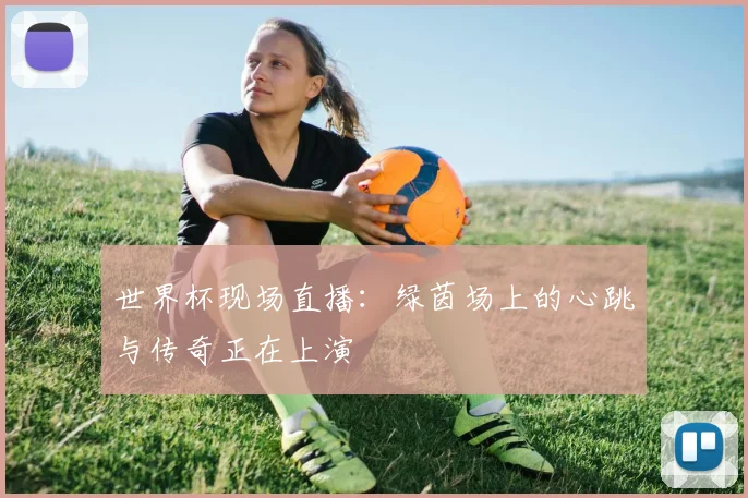 世界杯现场直播：绿茵场上的心跳与传奇正在上演