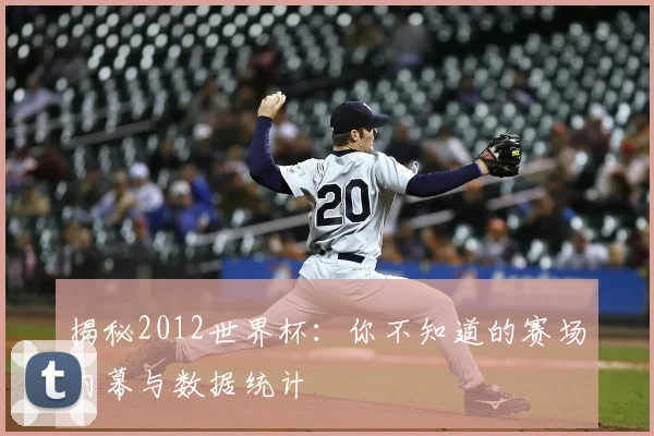 揭秘2012世界杯：你不知道的赛场内幕与数据统计